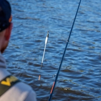 Guru Slider Floats
